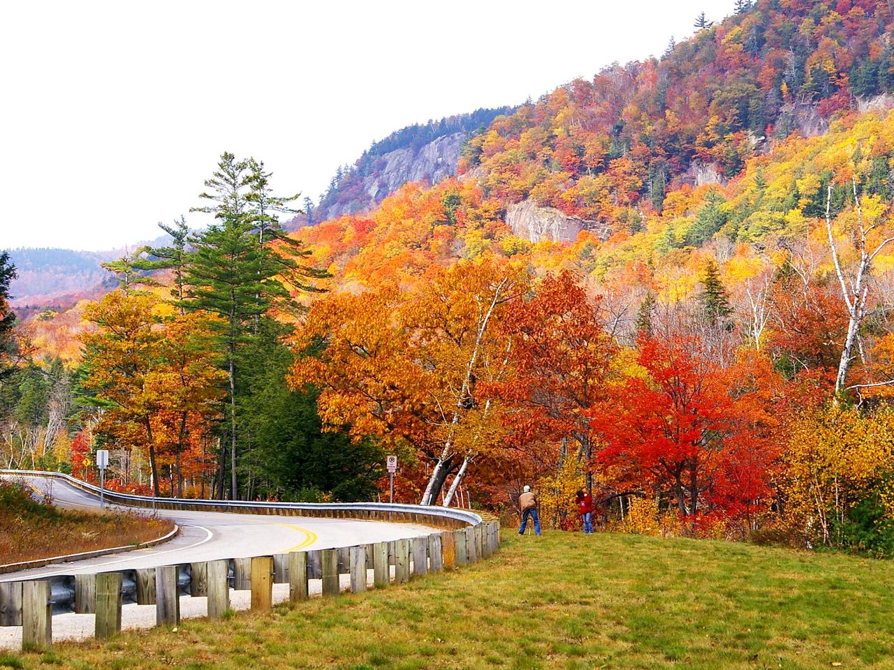 autumn scene